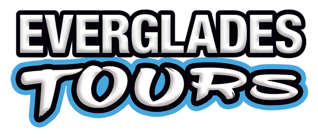 Bold text 'Everglades Tours' with blue and white accents.