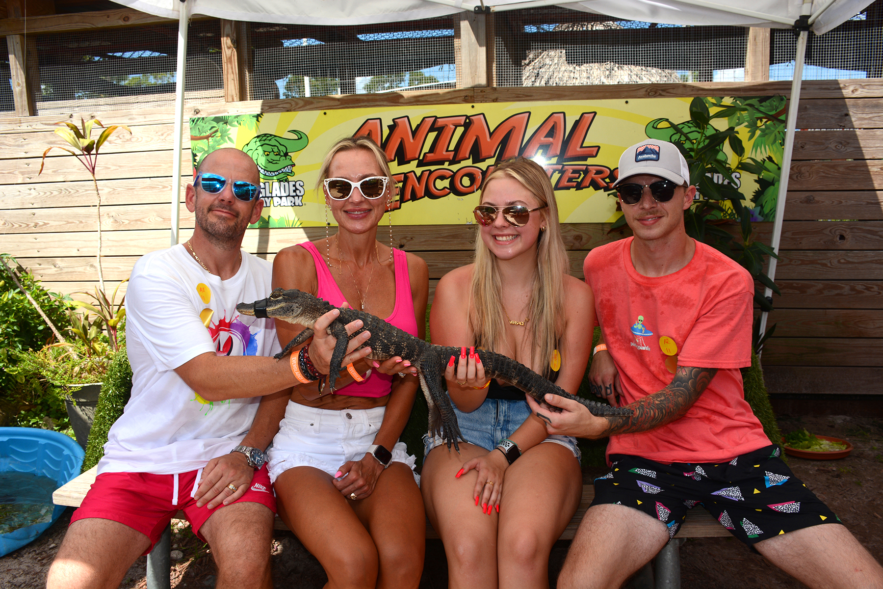Group of four people holding a small alligator at an animal encounter exhibit.