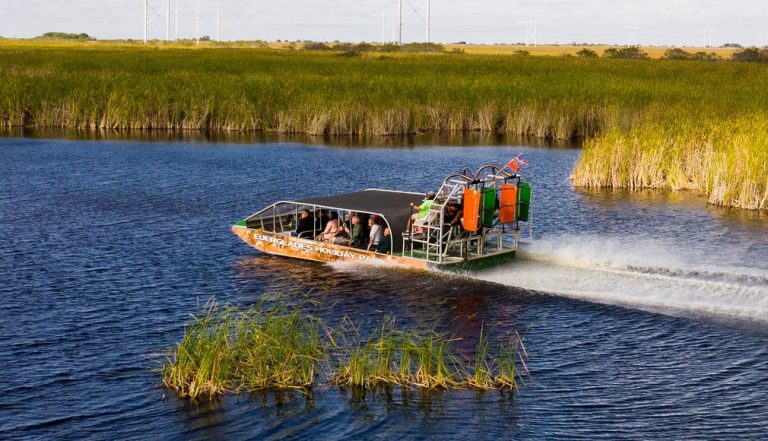 Airboat speeding through a river with tall grasses on a sunny day.