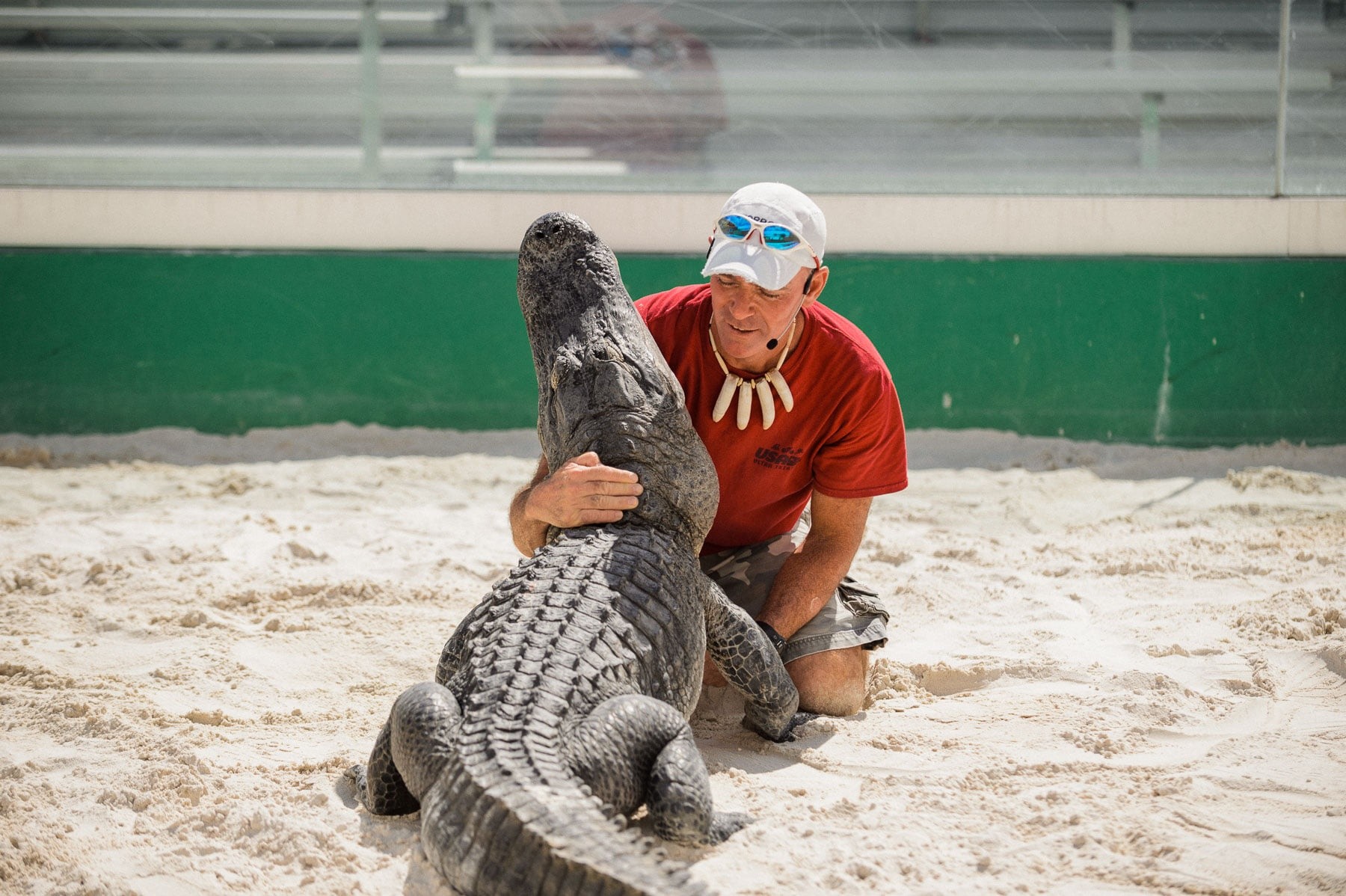 Person in red shirt kneeling and embracing a large alligator on sandy ground.