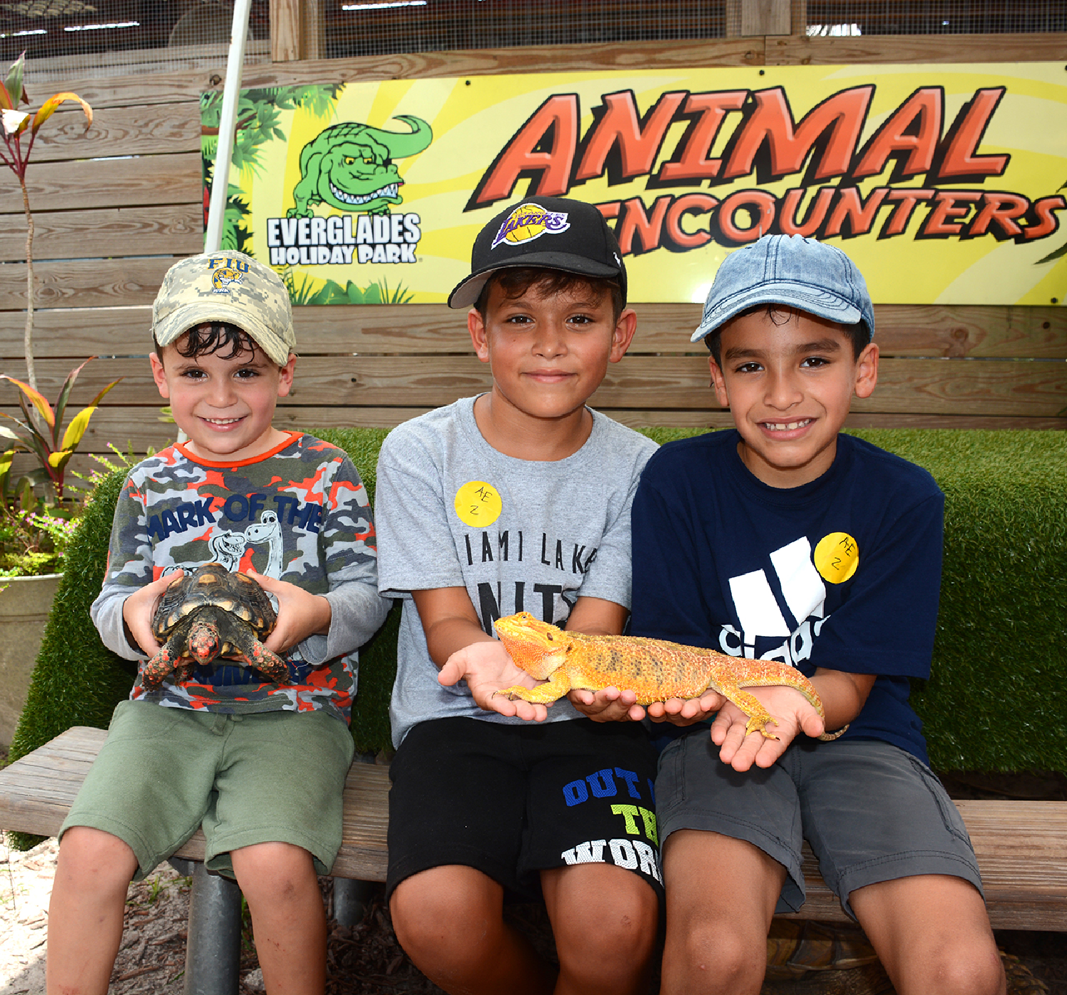 Three smiling boys hold reptiles at an animal park.