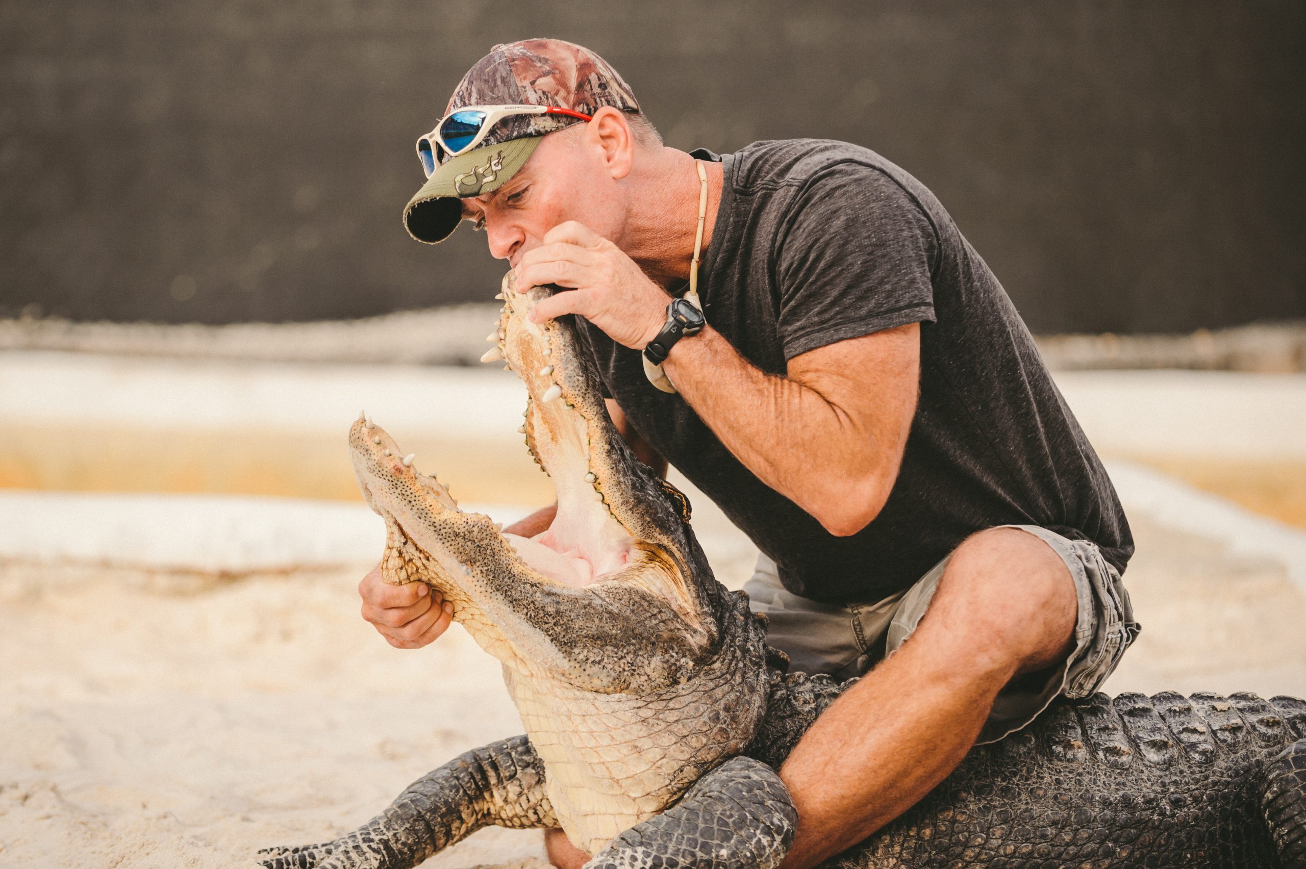 Man holding alligator's mouth open with hands in an enclosed area.