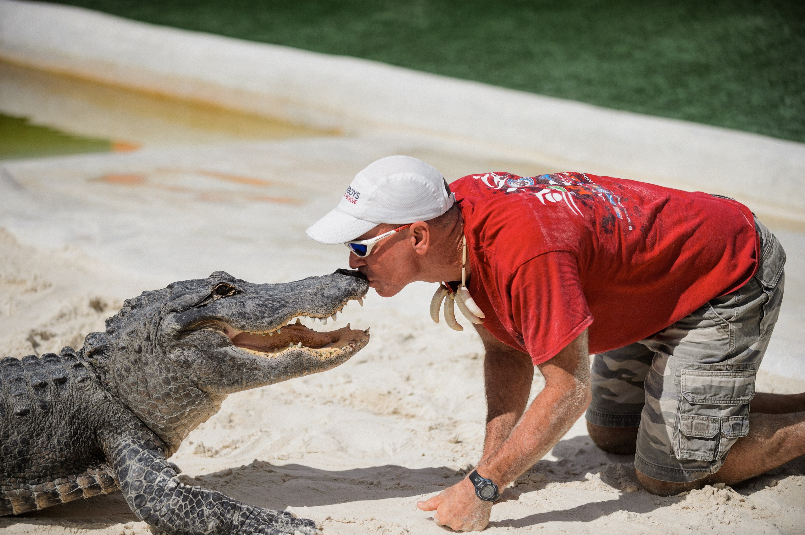 Man in red shirt kneeling and kissing the snout of an alligator on sandy ground.