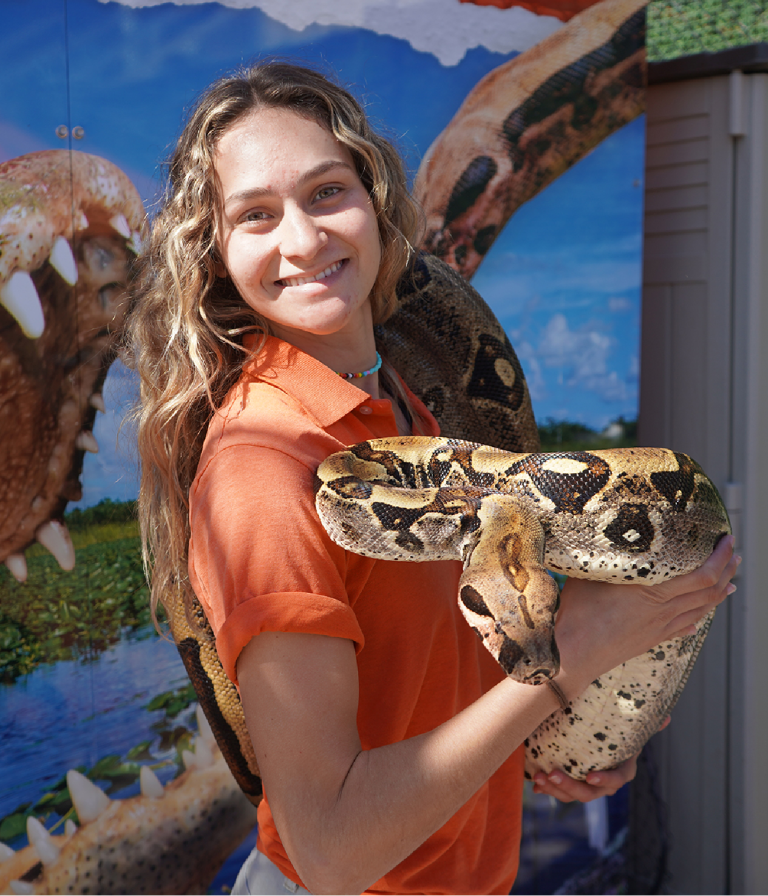 Person holding a large snake with a background of a crocodile mural.